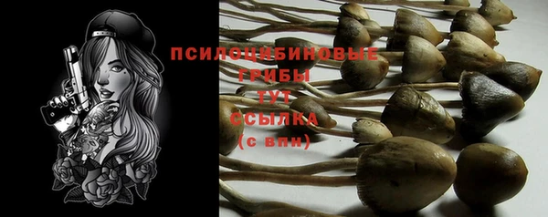 СК Наволоки
