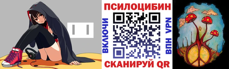 купить   Навашино  Галлюциногенные грибы прущие грибы 